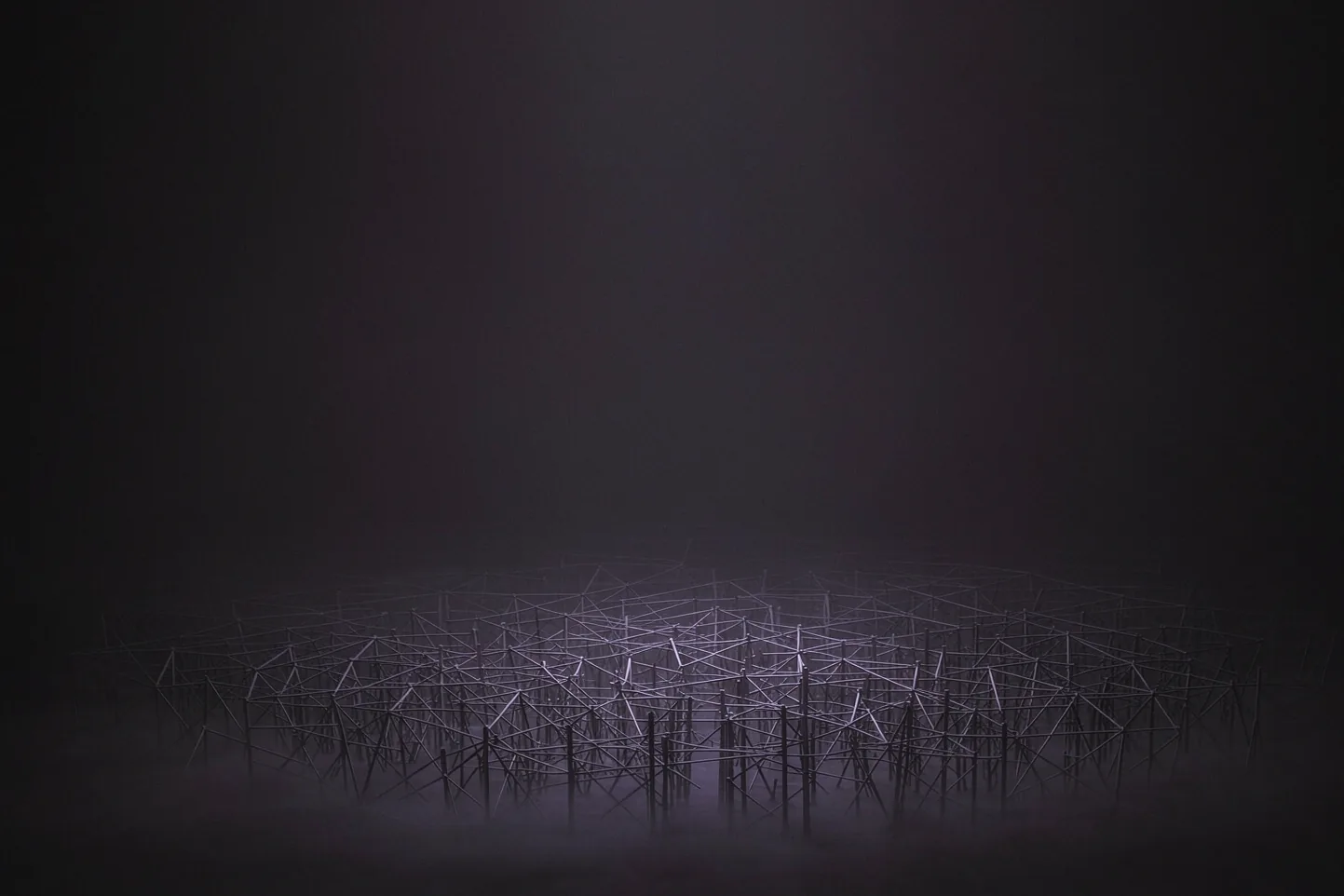 An immense lattice of thin bone-white lines receding into fog, a thin violet horizon below.